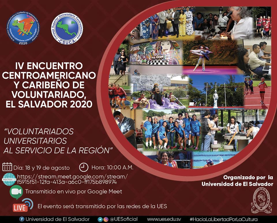 Gráfica del Voluntariado 2020