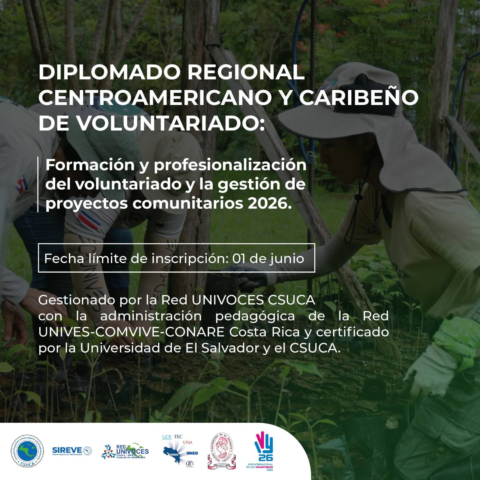 Gráfica del Voluntariado